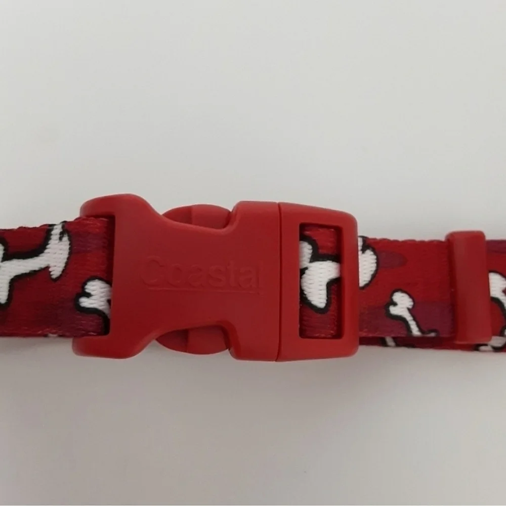 New Dog Collar and Leash Set